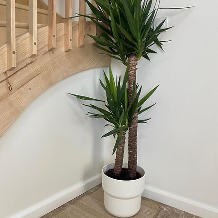 L Appartement Sete Magnifique Duplex Climatise Экстерьер фото