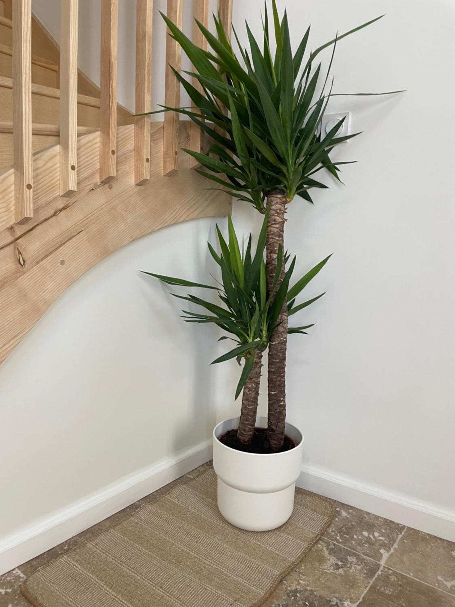L Appartement Sete Magnifique Duplex Climatise Экстерьер фото